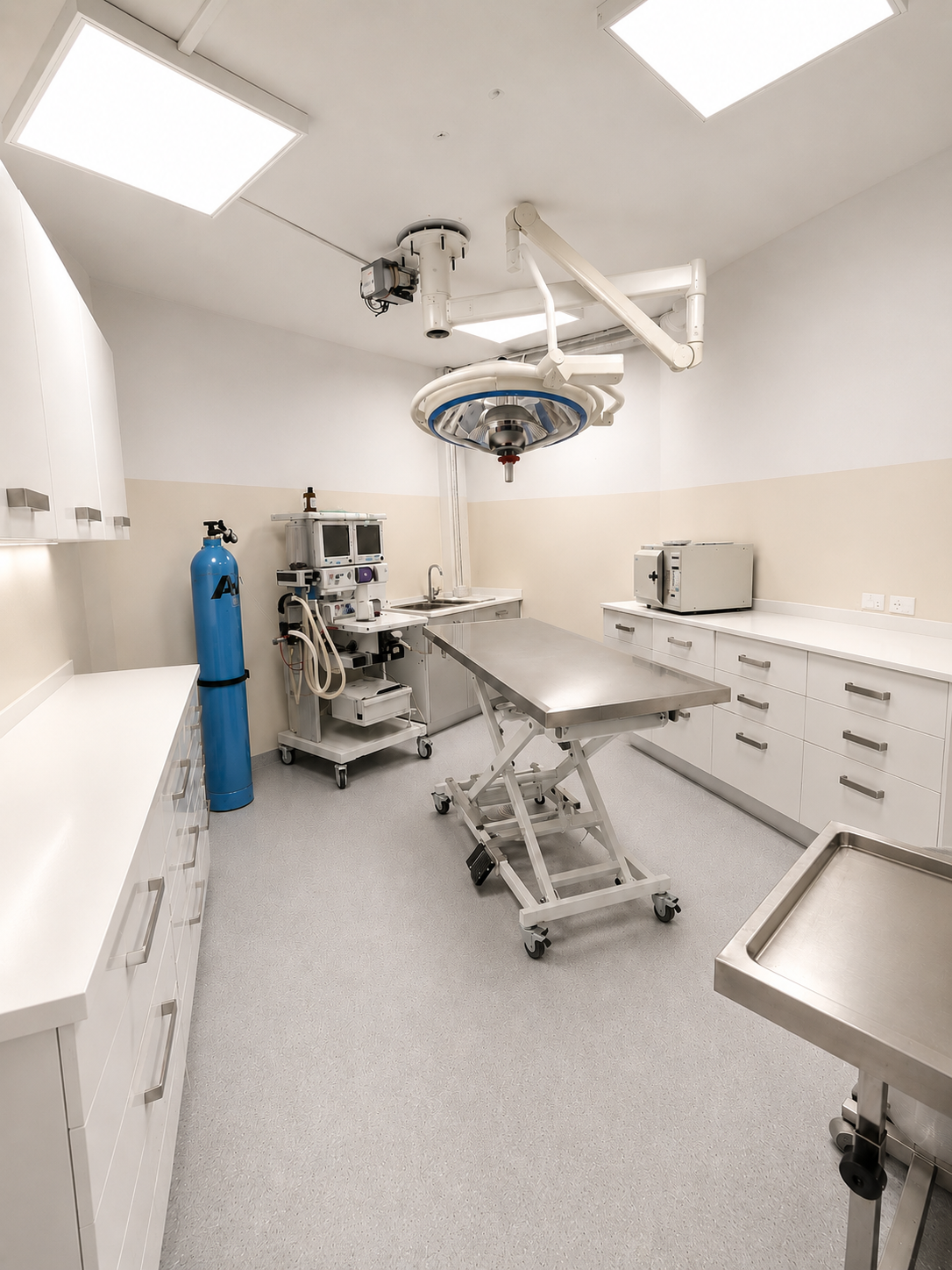 Vet Health χώρος 4